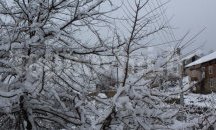 В Благоевградска област няма бедстващи хора заради снега