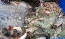 Заловиха двама с около 210 кг бракониерска риба край язовир Мандра