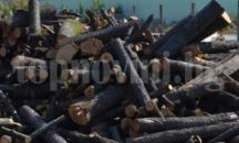 2 каруци с незаконни дърва иззе великотърновската полиция в с. Върбовка