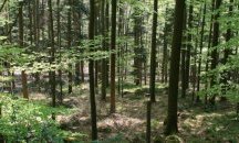 В Ивайловград заработи Горско предприятие