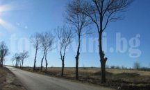 Възстановено е движението на път I-5 Русе-Бяла при разклона за Две могили
