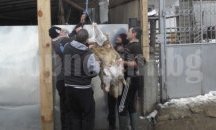 Курбан от 10 агнета раздадоха в Якоруда заради петте жертви на отровната ракия (обновена)