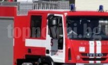 Обраха цветята от заведения в Раднево