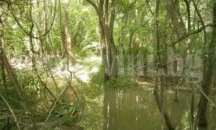 Отново ще се търсят средства за почистването на река Батовска
