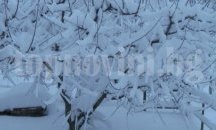 Обстановката в Търговище се усложнява, 35 села в общината са без ток