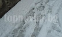 Спасиха 7 тийнейджъри бедствали в планината край Ивайловград