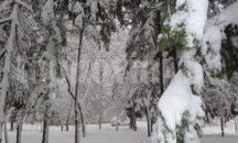 Ситуацията в Плевен постепенно се нормализира