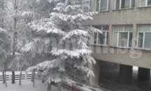 Бургаско училище излиза на протест на патронния си празник