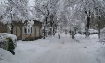 Дървена ваканция за почти всички училища в област Търговище и утре