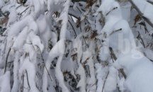 13 села в Шуменско без ток, 17 населени места - без вода