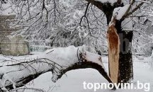 Плевенските пожарникари разрешиха 11 произшествия за ден