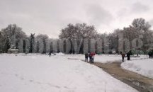 Десетки пловдивчани се потрошиха по заледените улици