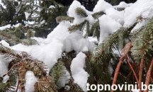 Преживяхме най-студената нощ