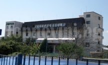 Водолюбивите птици в региона с рекордно висока численост и видово разнообразие