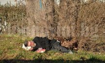 204 души пренощуваха в двата кризисни центъра в София