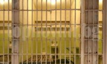 Братско дуо остава в ареста на Варна заради търговия на дрога