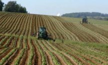 Над 114 000 земеделски стопани заявиха директни субсидии в Кампания 2017