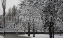 Зимната обстановка в Русенско на 27 януари