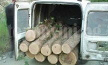 Бракониери нападнаха и раниха горска охрана в местността "Бармука” (обновена)