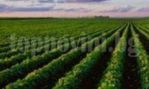 Земеделски експерти се срещат с производители от Аксаково 