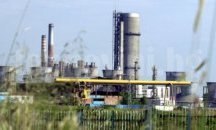Увеличават бройките за специализанти в болниците