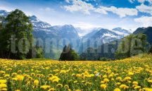Швейцария гласува оттегляне на молбата за членство в ЕС