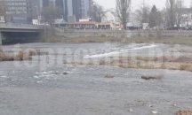 РИОСВ – Пловдив отбелязва Световния ден на влажните зони