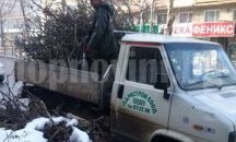 ОФ "Паркстрой" продължава разчистването на центъра, "Сторгозия" и "Дружба"