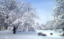Всички пътища на територията на област Разград са проходими при зимни условия