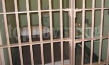 Управител на магазин в Плевен успя да залови крадци на шунка и кашкавал