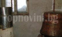 Сираци от Плевен изнесоха фолклорен концерт в Албена