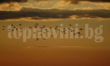 РИОСВ-Русе излъчи победителите в конкурса за проект на пъзел