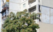 Подписаха 28 договора за саниране в Асеновград