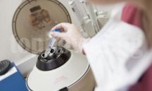 Започва приемът на заявления за подпомагане от общинския ин витро фонд в Разград