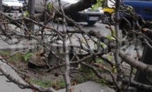 Общината готви среднощно почистване на софийското Околовръстно шосе