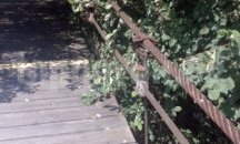 32 опасни въжени моста в Южна България, 8 в Пловдивско