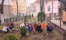 Роза "Цветелина романтика" засадиха в НУ "Христо Ботев"