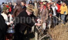 Днес е Трифон Зарезан - празник на лозаря и виното