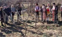 Зарязаха ритуално лозята в Лясковец и Килифарево