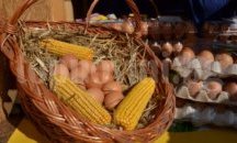 Био конгрес в Пловдив среща земеделски производители с клиенти