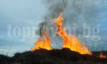 Пожар изпепели 140 дка площ в Руенско
