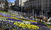 Проект „Моята градинка“ облагородява пространствата между жилищните кооперации и сгради