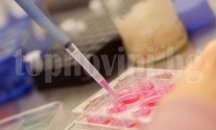Кампания за ранна диагностика на рак започва във Варна и Добрич