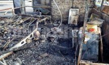 Пожар изпепели автомобил и рибен ресторант край Варна (обновена)