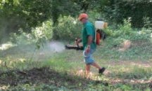 Започва пръскането срещу ларвите на комари в Пловдив