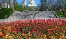 Столична община влезе в тона на Борисов - спря поръчка за над 33 млн.лв.