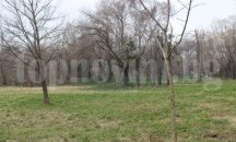 Почистват розариума край Гребната база в Пловдив