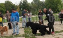 Награждават с кола победителя в киноложка изложба в Пловдив