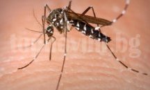 РЗИ-Бургас съветва как да се предпазим от "Зика"