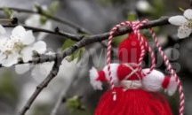 Карадайъ: ДПС няма да даде непоискана подкрепа на никого от кандидатите на предстоящите президентски избори